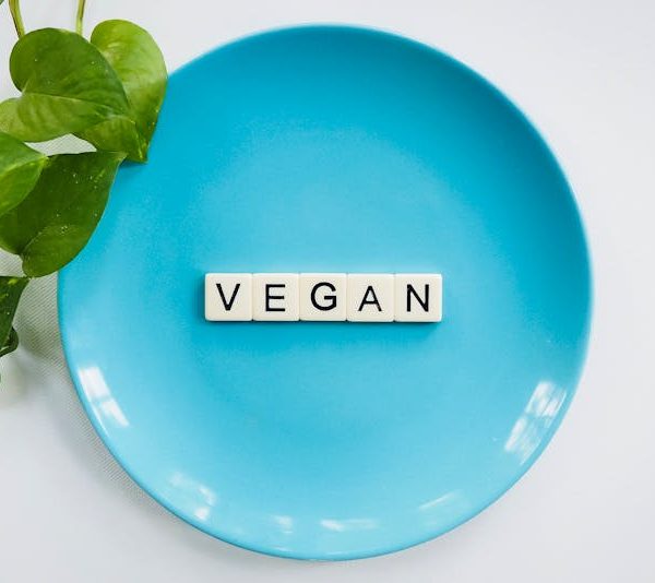 Beginner-Friendly Vegan Meal Prep Ideas Anyone Can Make